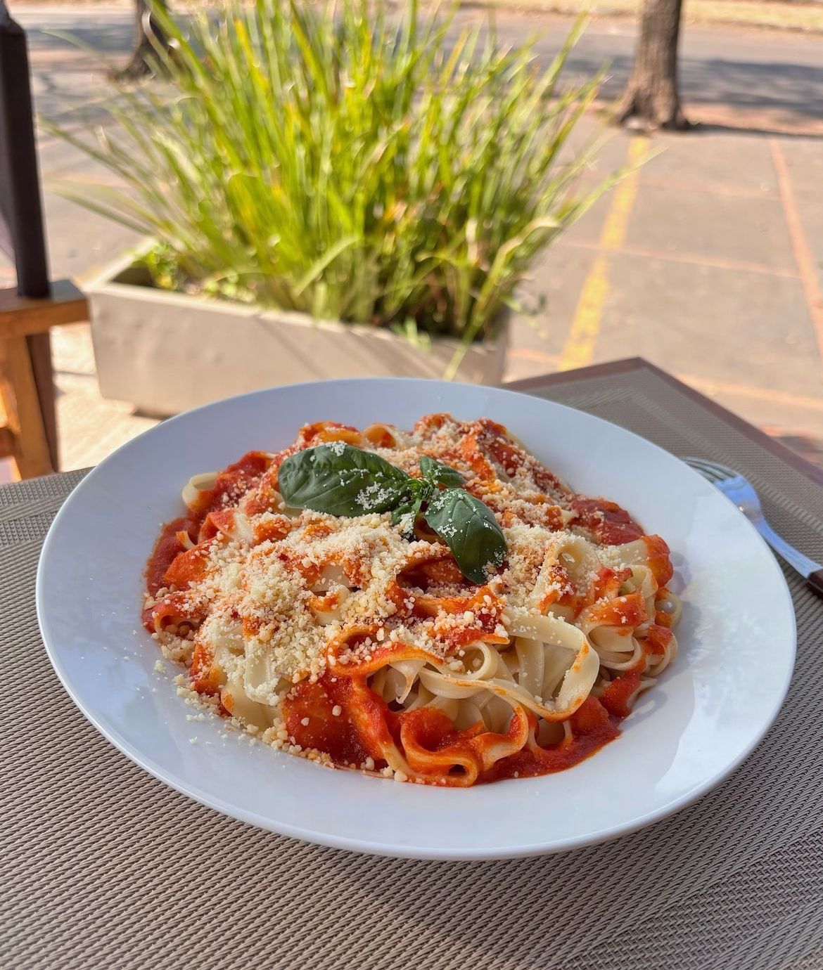 Fetuccini al huevo con salsa a elección